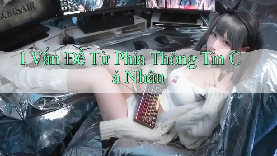1. Vấn Đề Từ Phía Thông Tin Cá Nhân 1. Vấn Đề Từ Phía Thông Tin Cá Nhân
