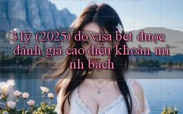 3 lý (2025) do visa bet được đánh giá cao điều khoản minh bạch