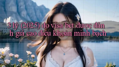 3 lý (2025) do visa bet được đánh giá cao điều khoản minh bạch