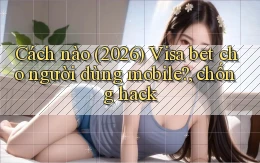 Cách nào (2026) Visa bet cho người dùng mobile, chống hack