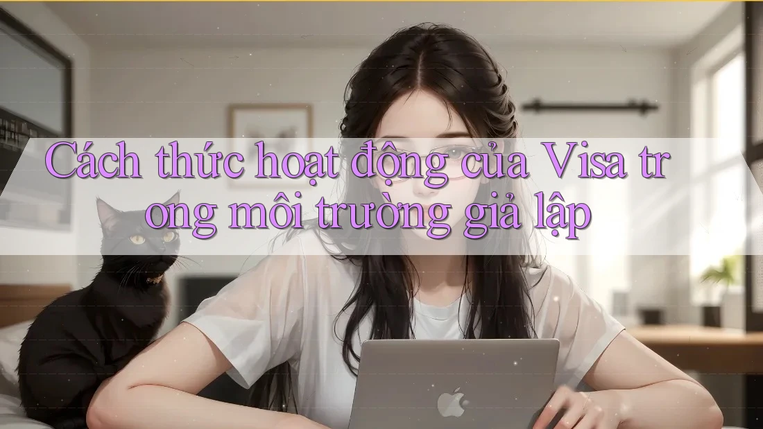Cách thức hoạt động của Visa trong môi trường giả lập