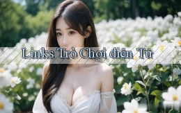 Links Trò chơi điện tử