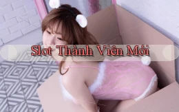 Slot Thành viên mới