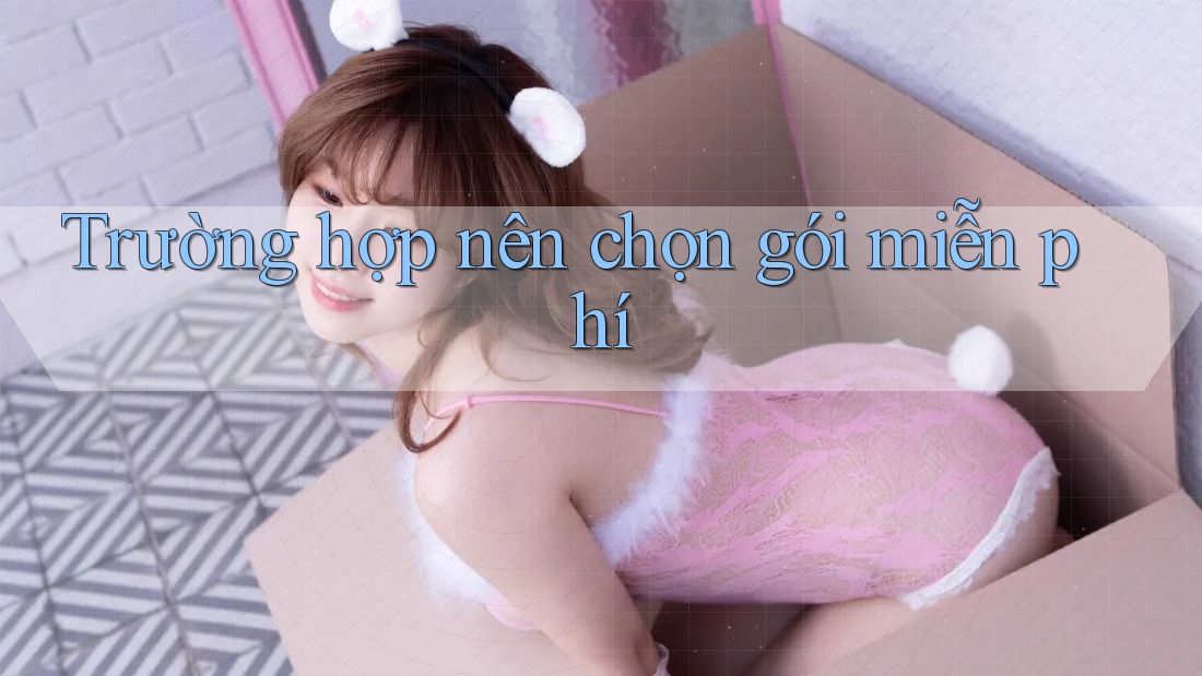 Trường hợp nên chọn gói miễn phí Trường hợp nên chọn gói miễn phí