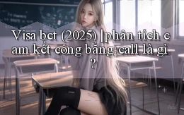 Visa bet (2025) phân tích cam kết công bằng call là gì