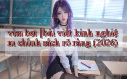 visa bet bài viết kinh nghiệm chính sách rõ ràng (2026)