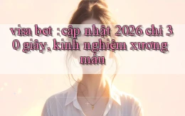 visa bet cập nhật 2026 chỉ 30 giây, kinh nghiệm xương máu