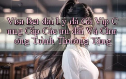 visa bet  đại lý đá gà vip cung cấp các ưu đãi và chương trình thưởng tặng